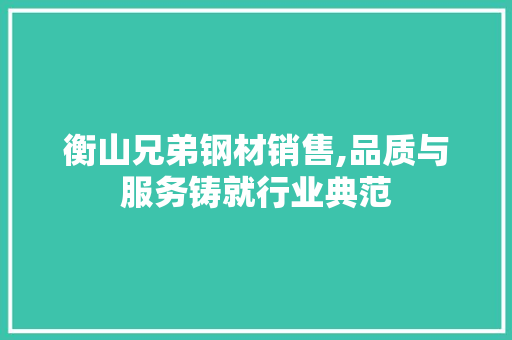 衡山兄弟钢材销售,品质与服务铸就行业典范