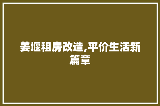 姜堰租房改造,平价生活新篇章