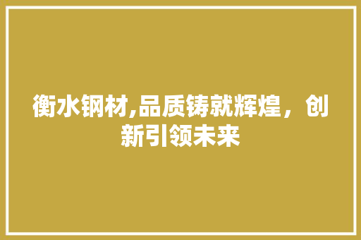 衡水钢材,品质铸就辉煌，创新引领未来