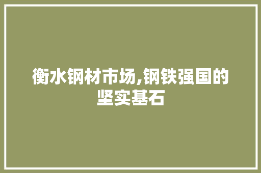 衡水钢材市场,钢铁强国的坚实基石
