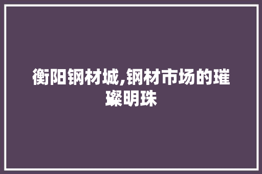 衡阳钢材城,钢材市场的璀璨明珠
