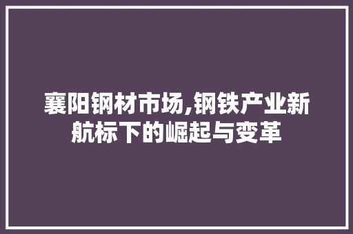 襄阳钢材市场,钢铁产业新航标下的崛起与变革