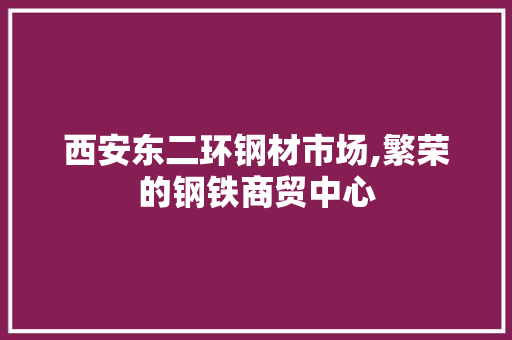西安东二环钢材市场,繁荣的钢铁商贸中心