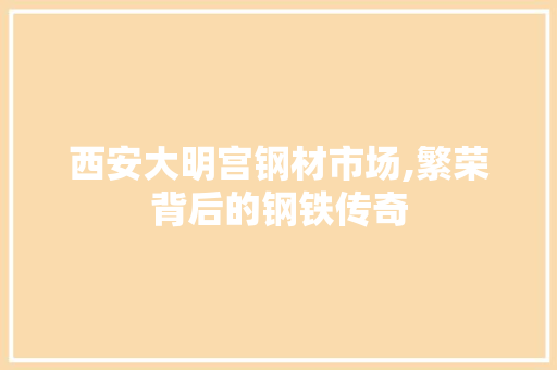 西安大明宫钢材市场,繁荣背后的钢铁传奇