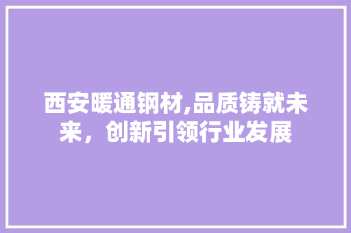西安暖通钢材,品质铸就未来，创新引领行业发展