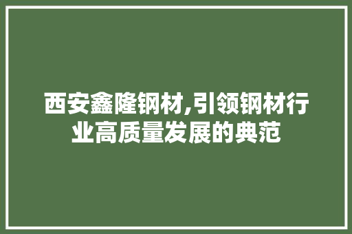 西安鑫隆钢材,引领钢材行业高质量发展的典范