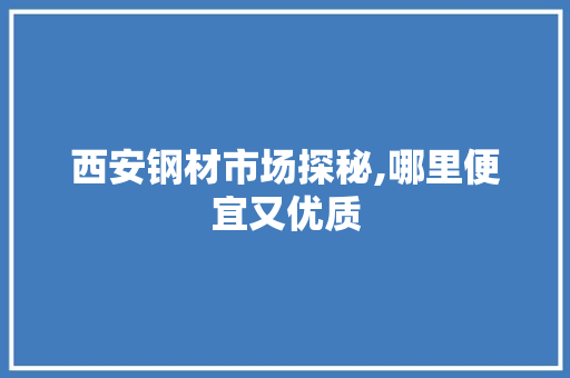 西安钢材市场探秘,哪里便宜又优质