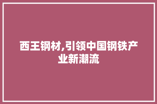 西王钢材,引领中国钢铁产业新潮流