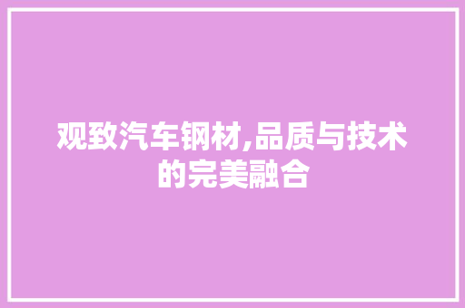 观致汽车钢材,品质与技术的完美融合