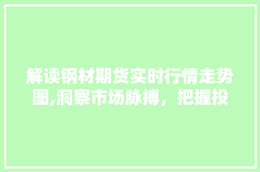 解读钢材期货实时行情走势图,洞察市场脉搏，把握投资先机