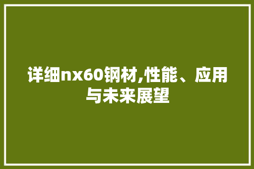 详细nx60钢材,性能、应用与未来展望