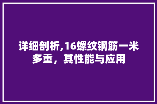详细剖析,16螺纹钢筋一米多重，其性能与应用