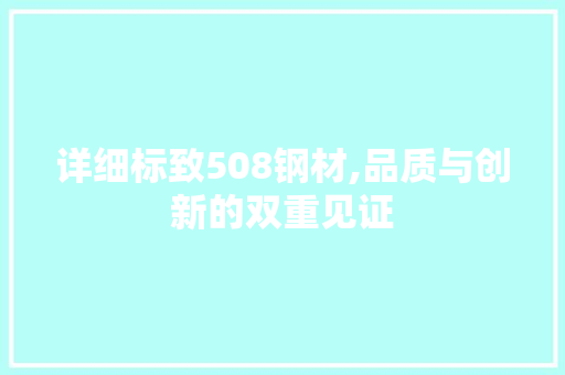详细标致508钢材,品质与创新的双重见证