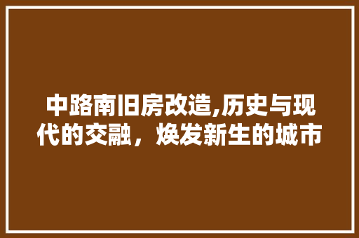 中路南旧房改造,历史与现代的交融，焕发新生的城市记忆