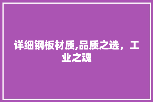 详细钢板材质,品质之选，工业之魂