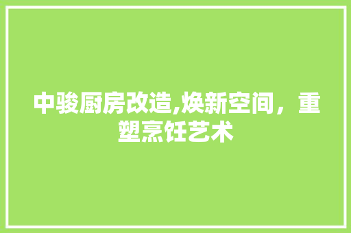 中骏厨房改造,焕新空间，重塑烹饪艺术
