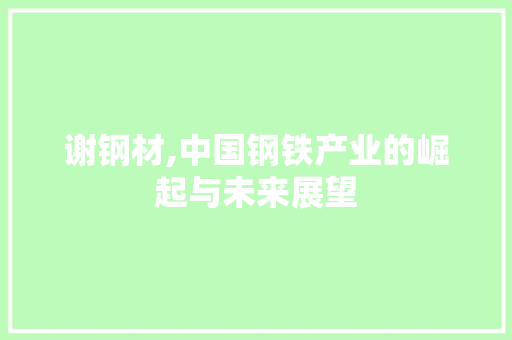 谢钢材,中国钢铁产业的崛起与未来展望