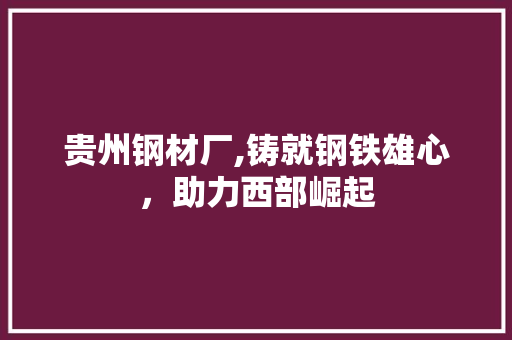 贵州钢材厂,铸就钢铁雄心，助力西部崛起