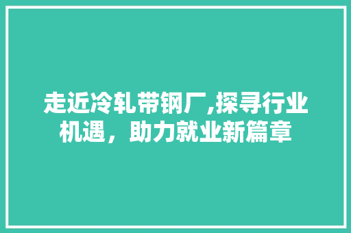 走近冷轧带钢厂,探寻行业机遇，助力就业新篇章