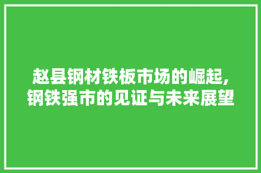 赵县钢材铁板市场的崛起,钢铁强市的见证与未来展望