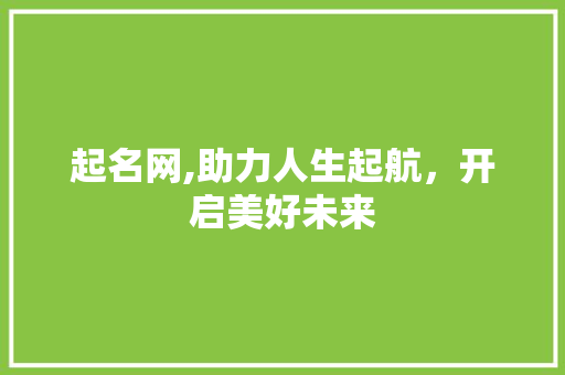 起名网,助力人生起航，开启美好未来