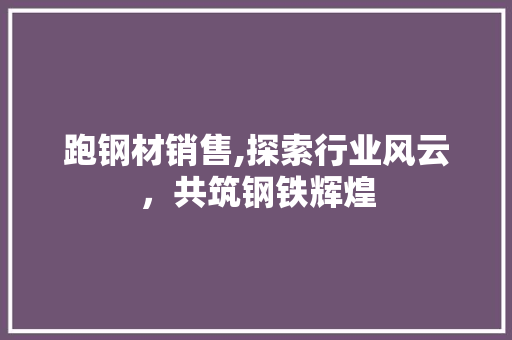 跑钢材销售,探索行业风云，共筑钢铁辉煌