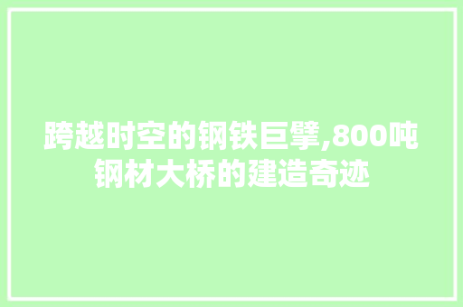 跨越时空的钢铁巨擘,800吨钢材大桥的建造奇迹