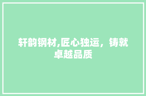轩韵钢材,匠心独运，铸就卓越品质