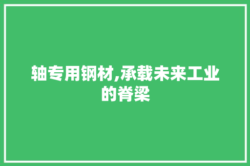 轴专用钢材,承载未来工业的脊梁