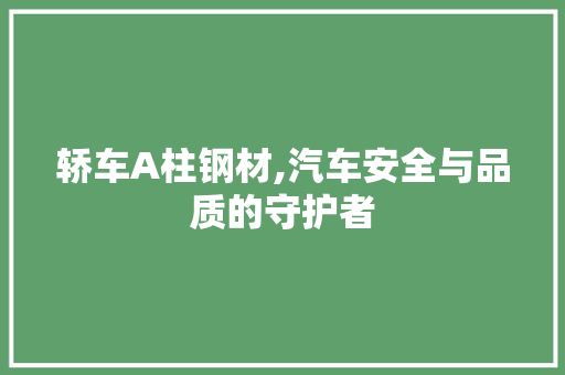 轿车A柱钢材,汽车安全与品质的守护者