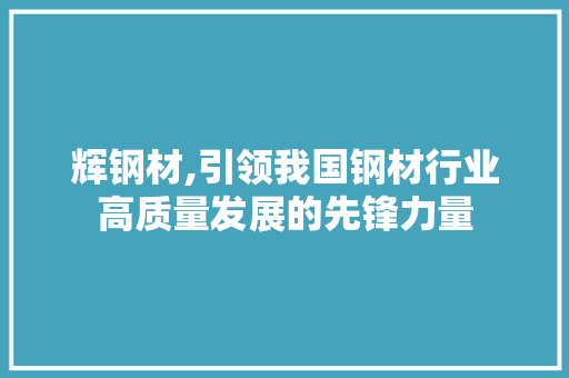 辉钢材,引领我国钢材行业高质量发展的先锋力量