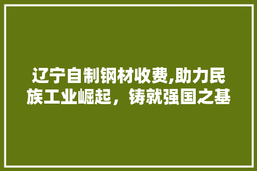 辽宁自制钢材收费,助力民族工业崛起，铸就强国之基