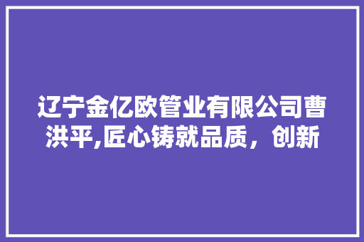 辽宁金亿欧管业有限公司曹洪平,匠心铸就品质，创新引领未来