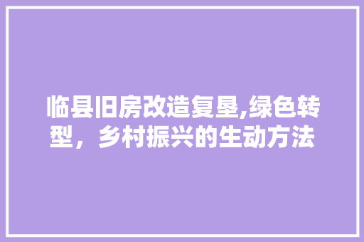 临县旧房改造复垦,绿色转型，乡村振兴的生动方法