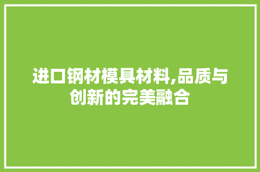 进口钢材模具材料,品质与创新的完美融合