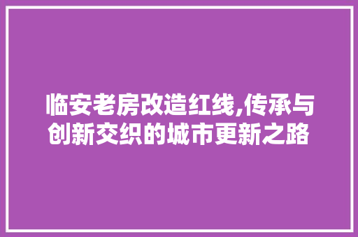 临安老房改造红线,传承与创新交织的城市更新之路