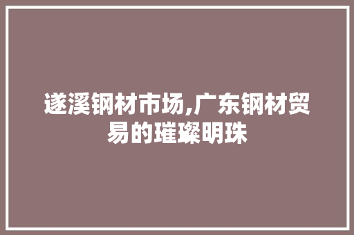 遂溪钢材市场,广东钢材贸易的璀璨明珠