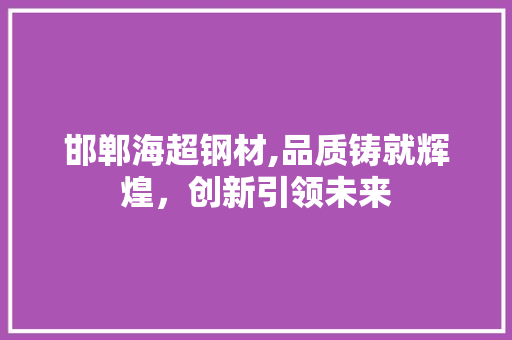 邯郸海超钢材,品质铸就辉煌，创新引领未来
