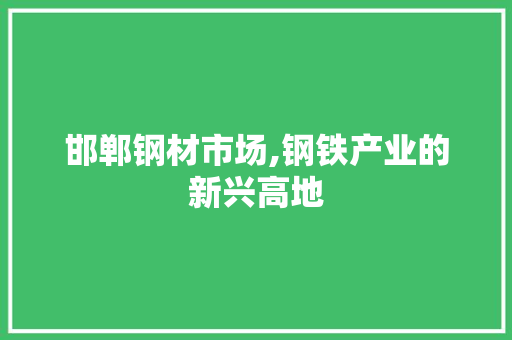 邯郸钢材市场,钢铁产业的新兴高地