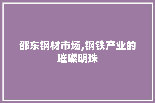 邵东钢材市场,钢铁产业的璀璨明珠