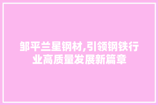 邹平兰星钢材,引领钢铁行业高质量发展新篇章