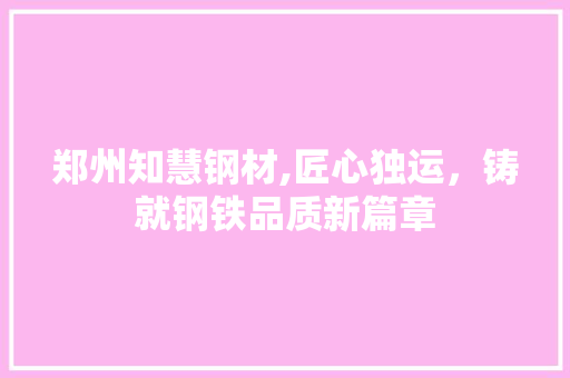 郑州知慧钢材,匠心独运，铸就钢铁品质新篇章
