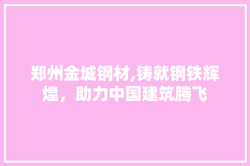 郑州金城钢材,铸就钢铁辉煌，助力中国建筑腾飞