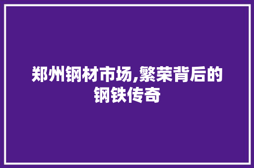 郑州钢材市场,繁荣背后的钢铁传奇