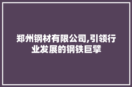 郑州钢材有限公司,引领行业发展的钢铁巨擘