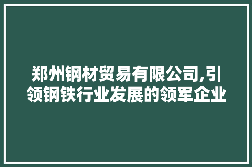 郑州钢材贸易有限公司,引领钢铁行业发展的领军企业