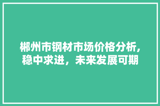 郴州市钢材市场价格分析,稳中求进，未来发展可期