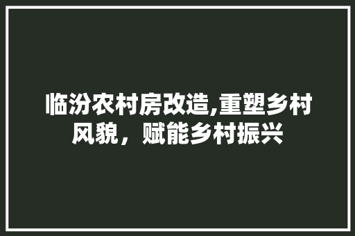 临汾农村房改造,重塑乡村风貌，赋能乡村振兴