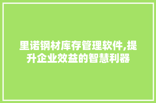 里诺钢材库存管理软件,提升企业效益的智慧利器