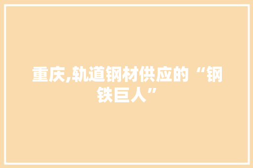 重庆,轨道钢材供应的“钢铁巨人”